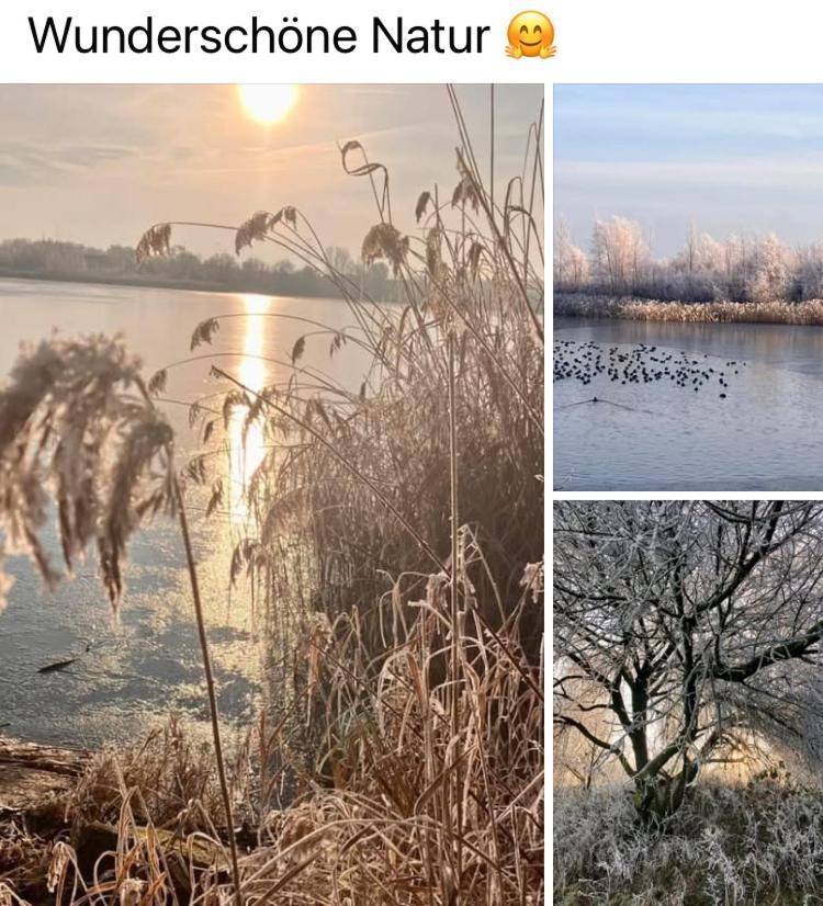 Im Gänseried